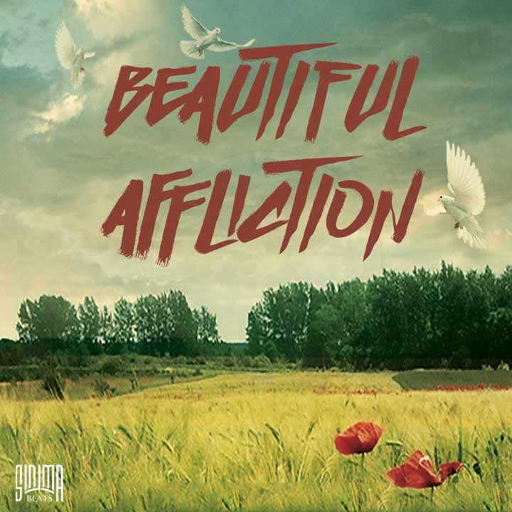 Beautiful Affliction