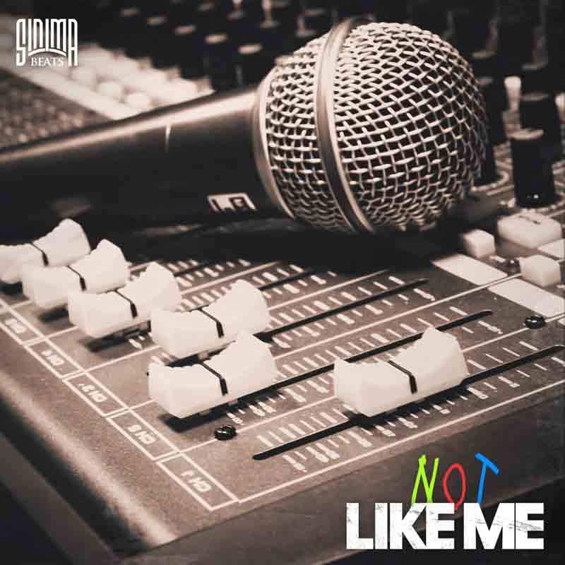 Sinima Beats- Not Like Me Instrumental (Dr. Dre, 50 Cent, G-Unit Style Beat, Tony Yayo, LLoyd Banks, The Game, Classic, 2000's Hip Hop Music, Rap, Recording, Beat)